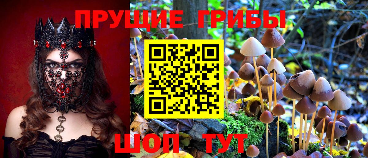 Псилоцибиновые грибы ЛСД  Вход с VPN  Строитель 
