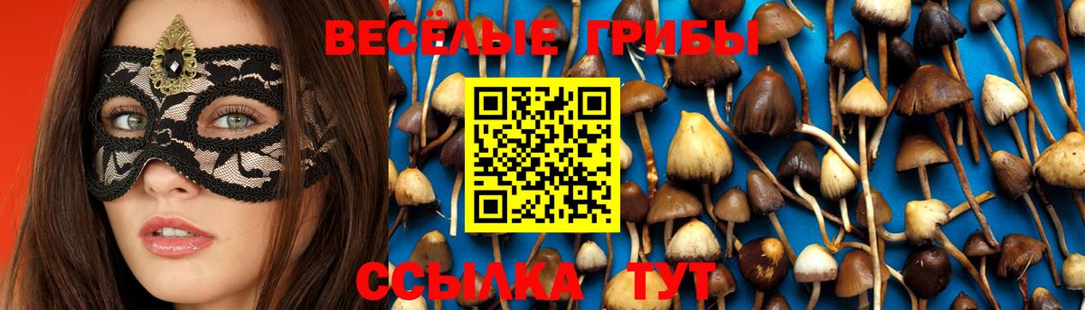 Псилоцибиновые грибы мухоморы Строитель